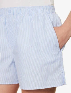 Shay Striped Cotton Shorts -VogueVibe Store R04183728 DUSTYBLUWHTSTRIPE ALT04